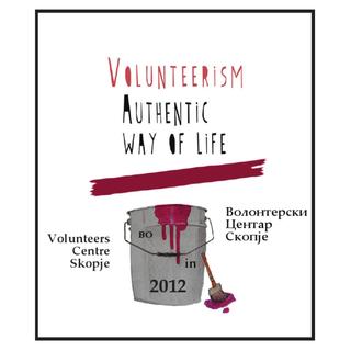You are currently viewing Volunteers Centre Skopje in 2012 – Overview of Activities