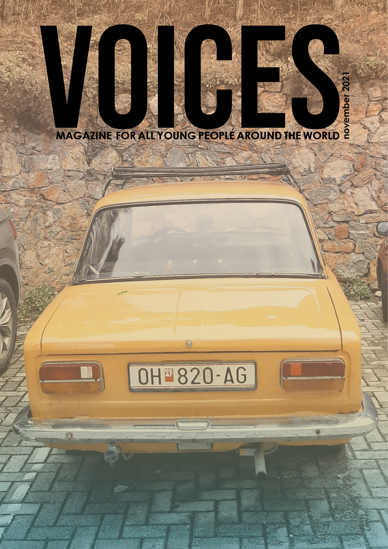 Read more about the article VOICES November 2021