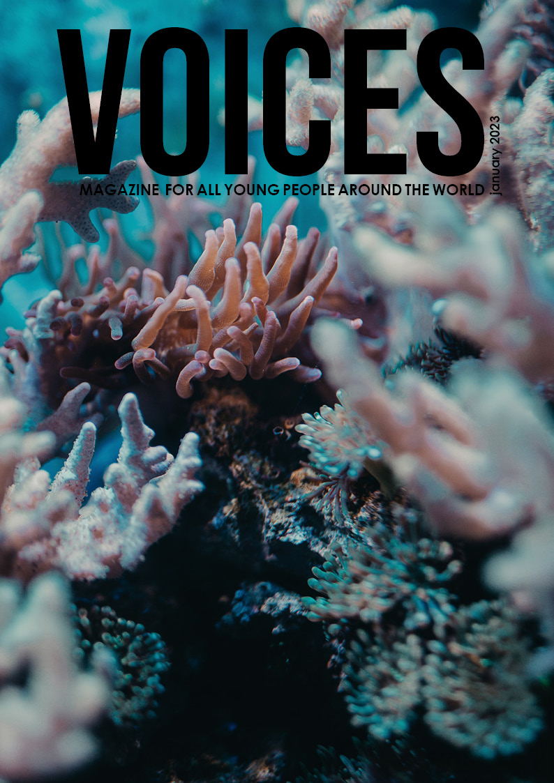 Read more about the article VOICES January 2023