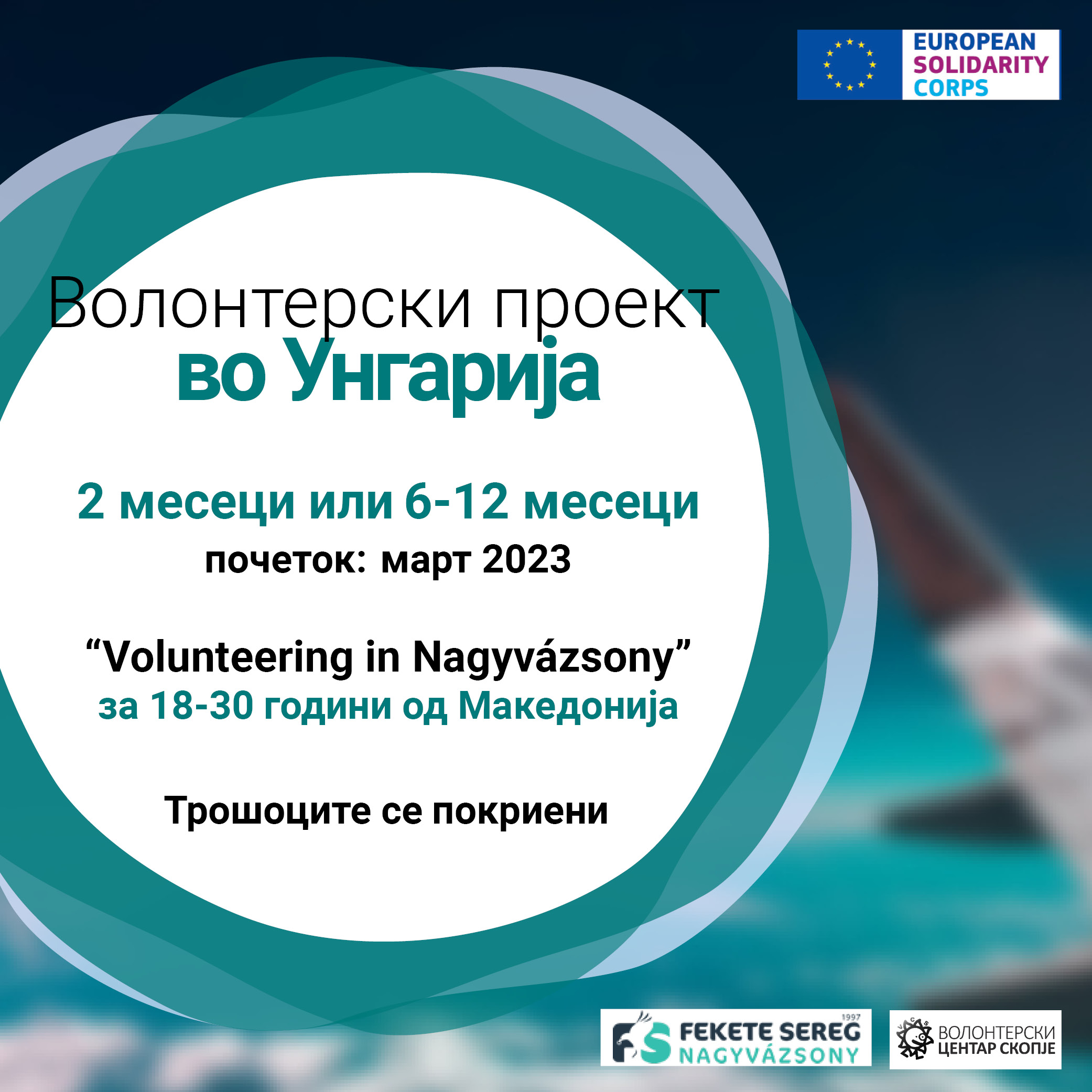 Read more about the article Повик за волонтери во Унгарија!