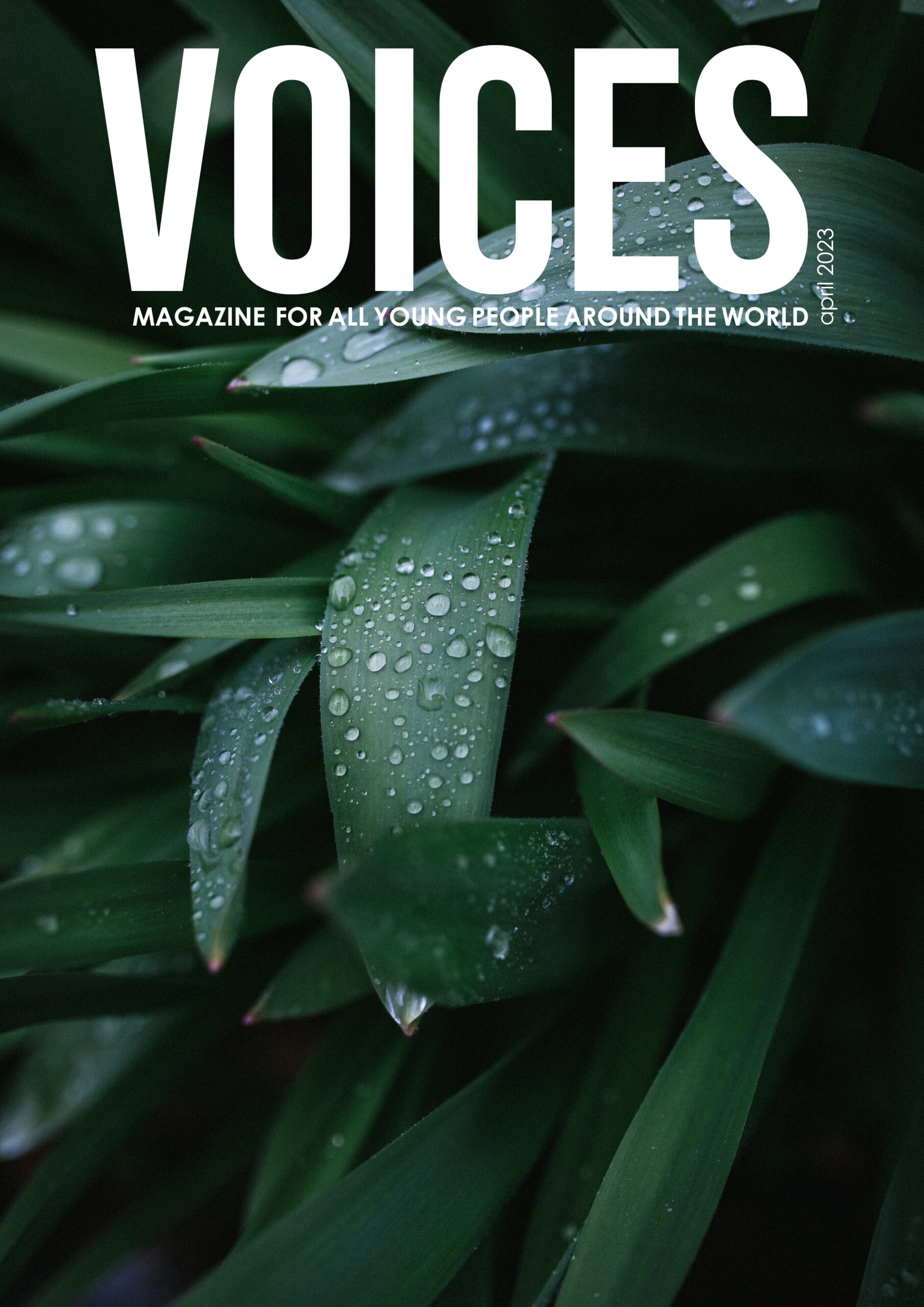 Read more about the article VOICES April 2023