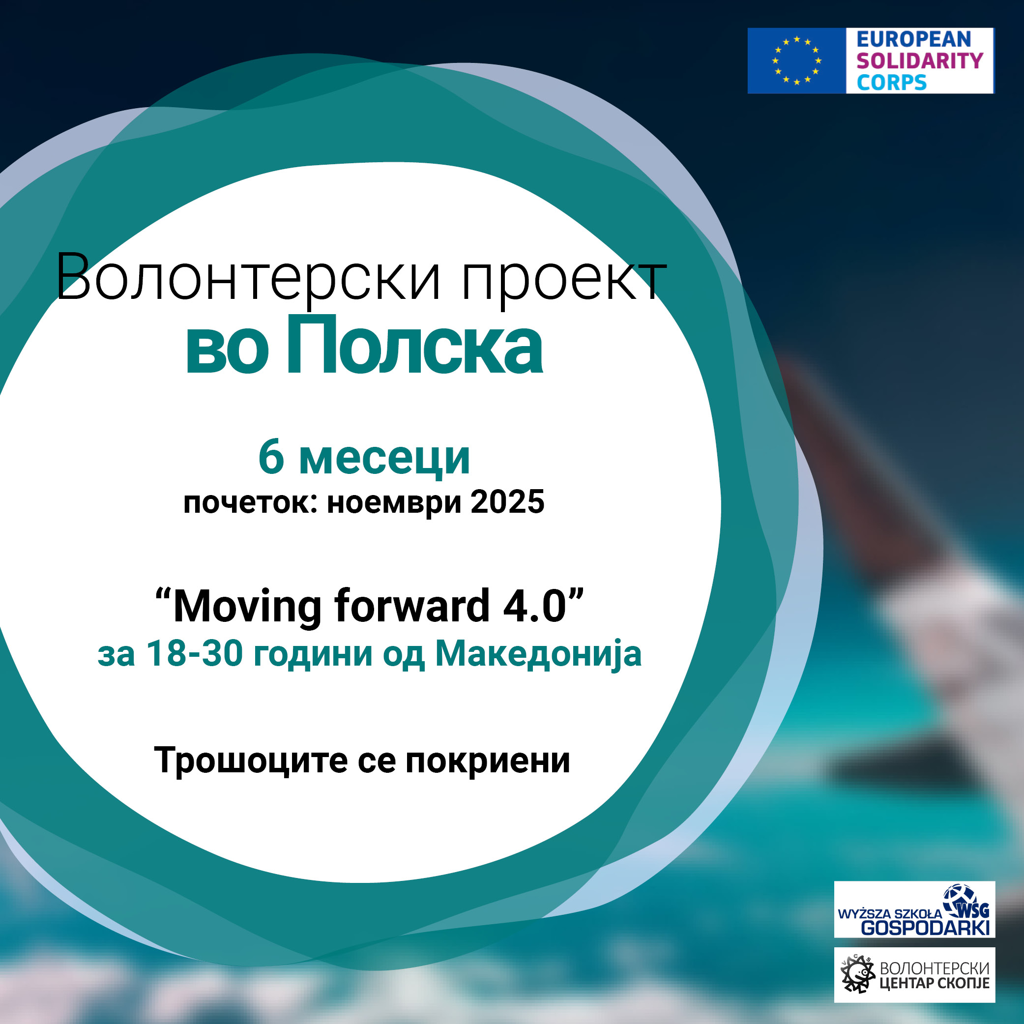 Read more about the article Call for a volunteer in Poland!