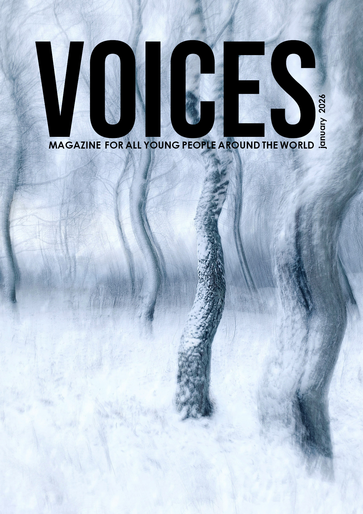 Read more about the article VOICES January 2026