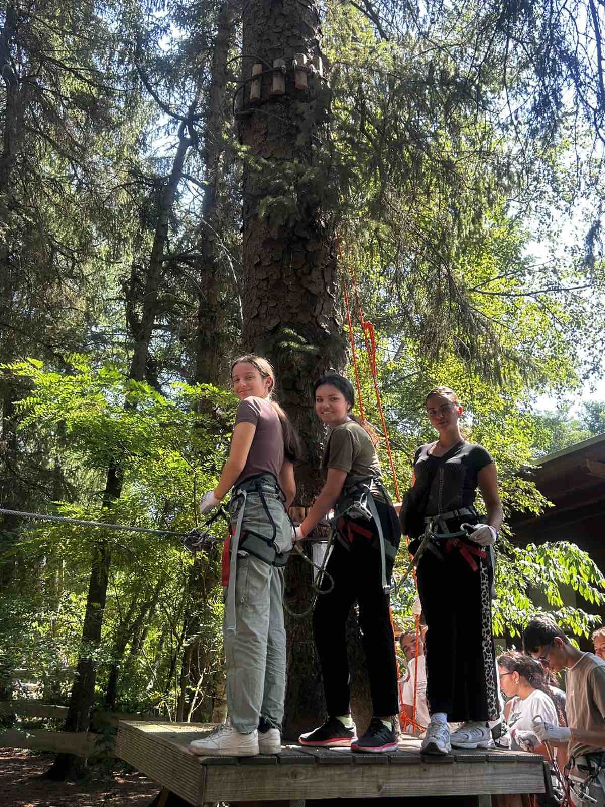 Read more about the article Nature connects us
